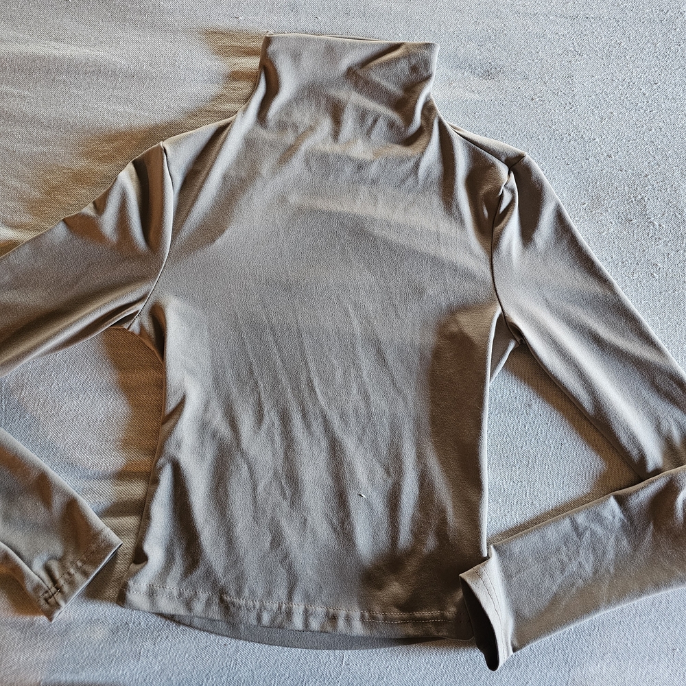 SHEIN Taupe Long Sleeve Turtleneck Top